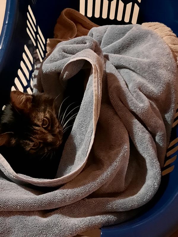 Photo - commentaire 3.