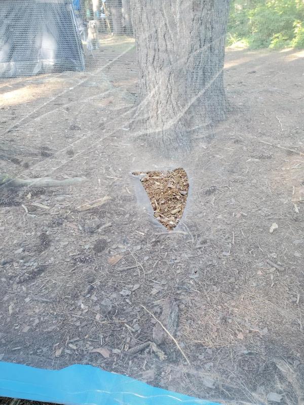 Photo - commentaire&nbsp;6.