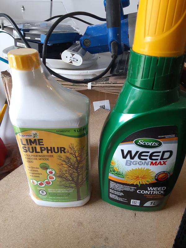 Photo - commentaire&nbsp;1.