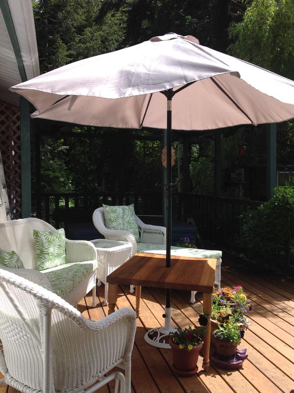 On our deck up in Sayward.