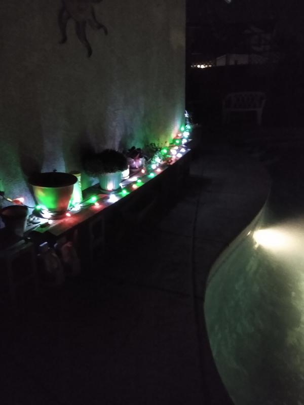 Makes my plant bench look pretty