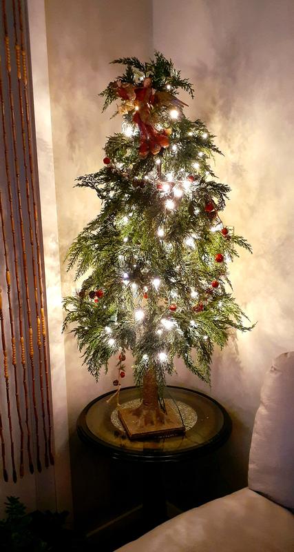 Photo - commentaire&nbsp;1.