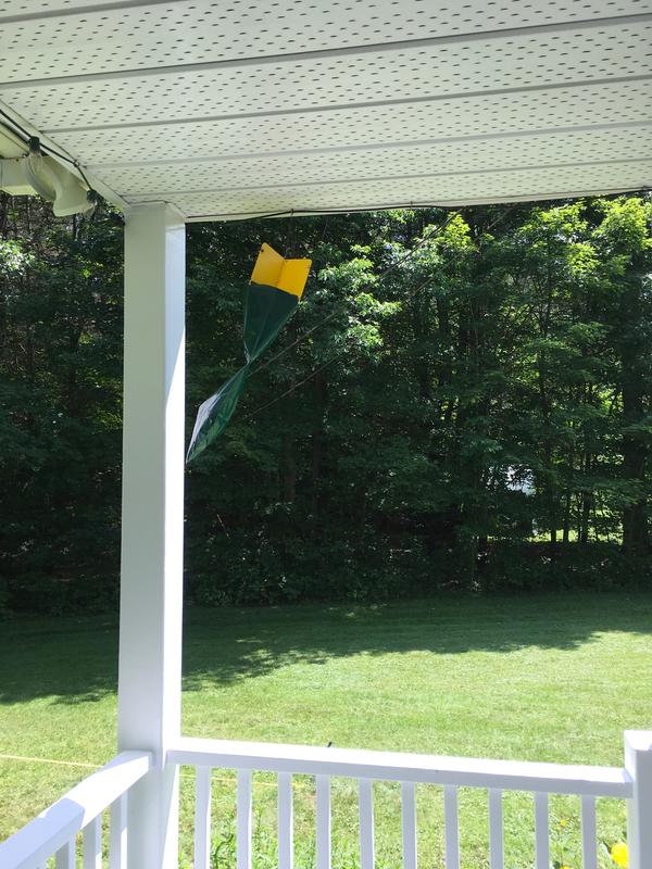 Trap hung on the front porch for convenience