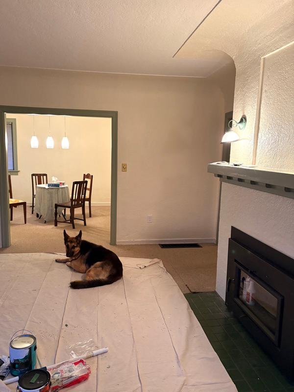 Same tint, but nice and fresh! Keep ‘em in stock pls!