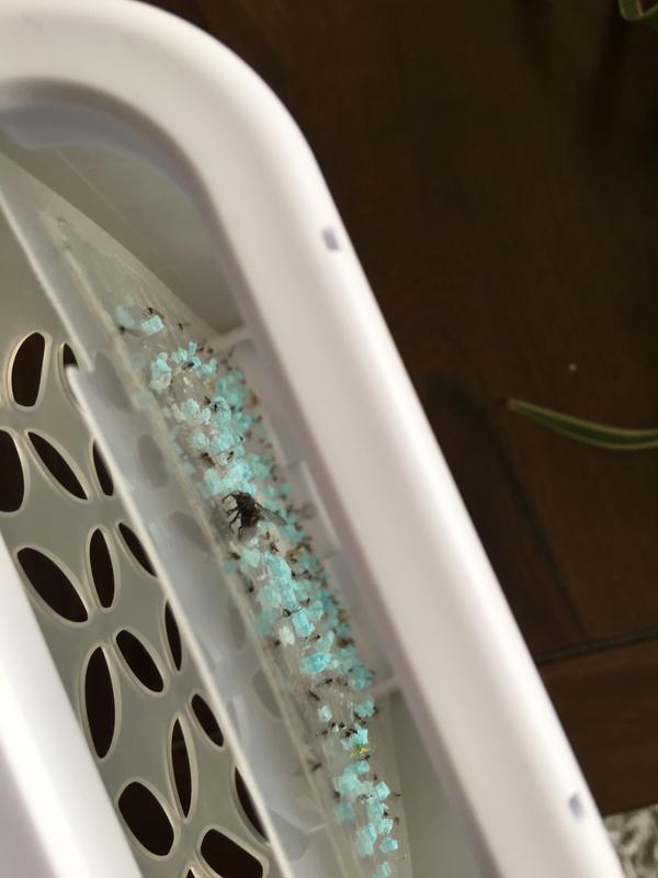 Photo - commentaire&nbsp;3.