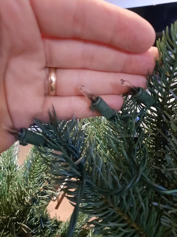 Every burb in top section burned out.  Fuse still good.