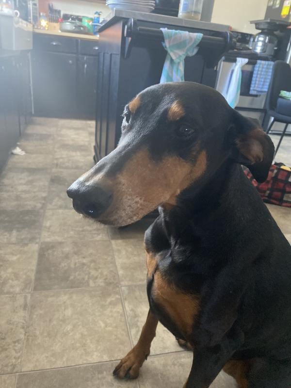 Photo - commentaire&nbsp;3.