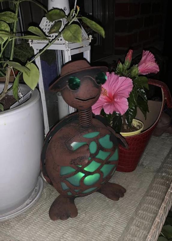 Photo - commentaire&nbsp;1.