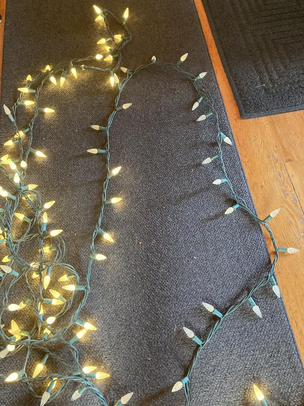 Photo - commentaire 1.