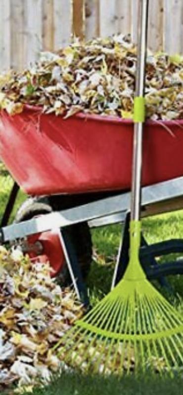 Photo - commentaire 1.