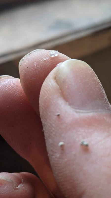 Photo - commentaire 1.