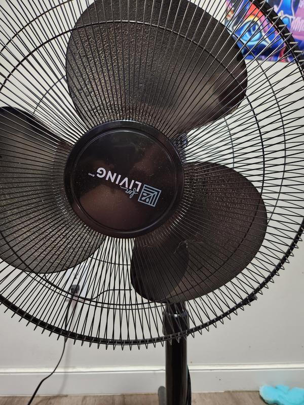 Photo - commentaire 5.