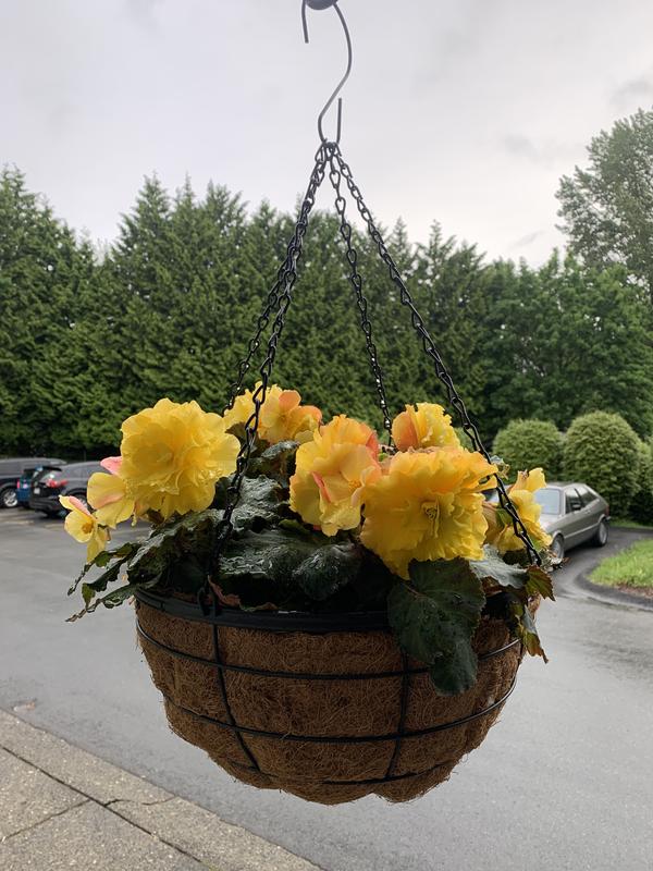 Photo - commentaire&nbsp;1.