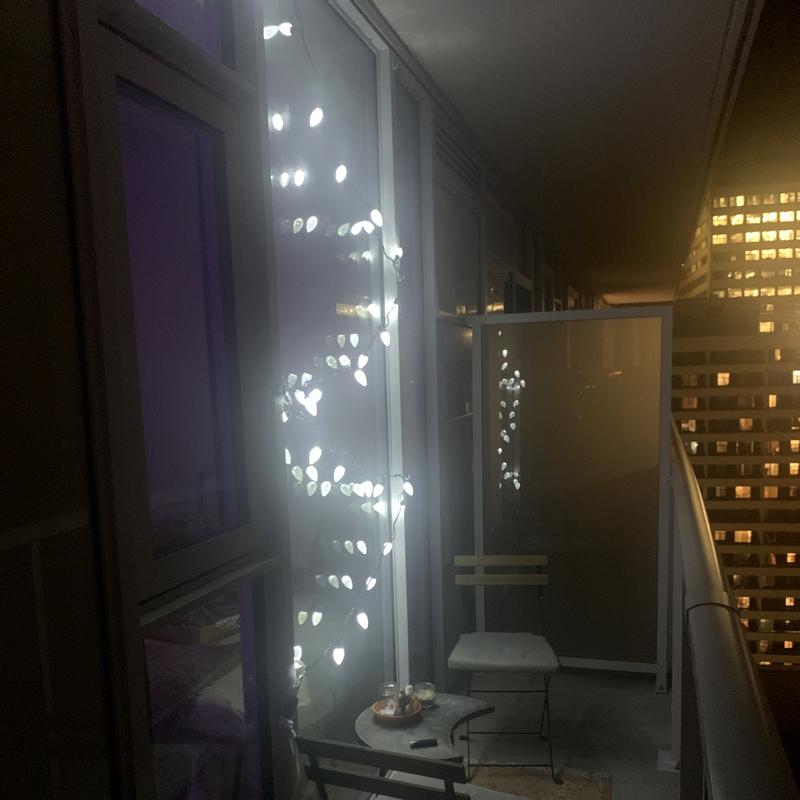 Photo - commentaire 8