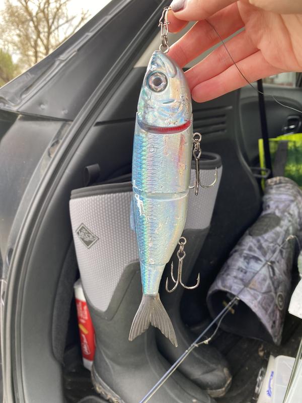 Photo - commentaire&nbsp;1.