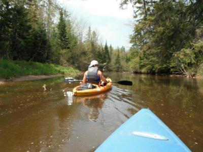Kayaking in a small river.