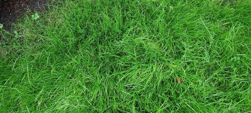 Photo - commentaire&nbsp;5.