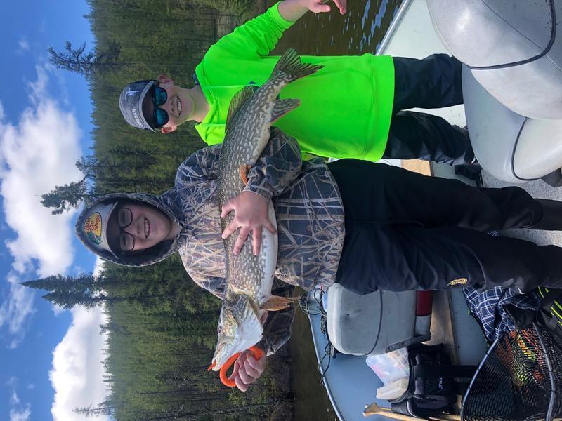 Photo - commentaire&nbsp;1.