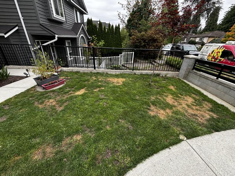 Photo - commentaire 1.