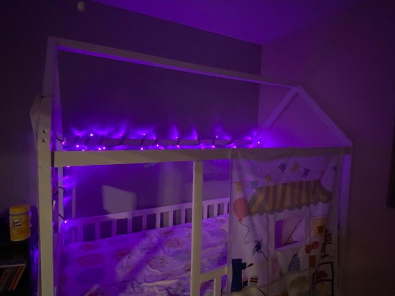 Photo - commentaire&nbsp;2.