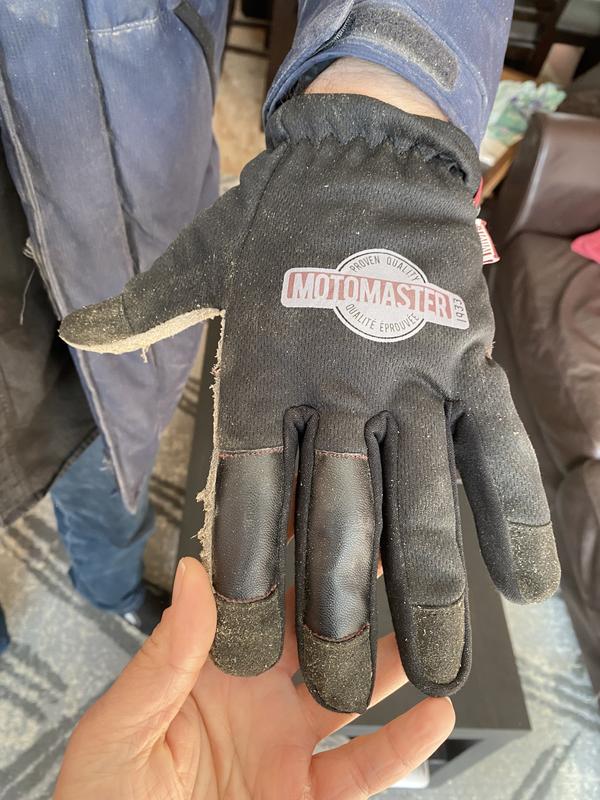 Proof of glove brand