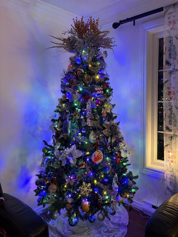 Photo - commentaire 2.