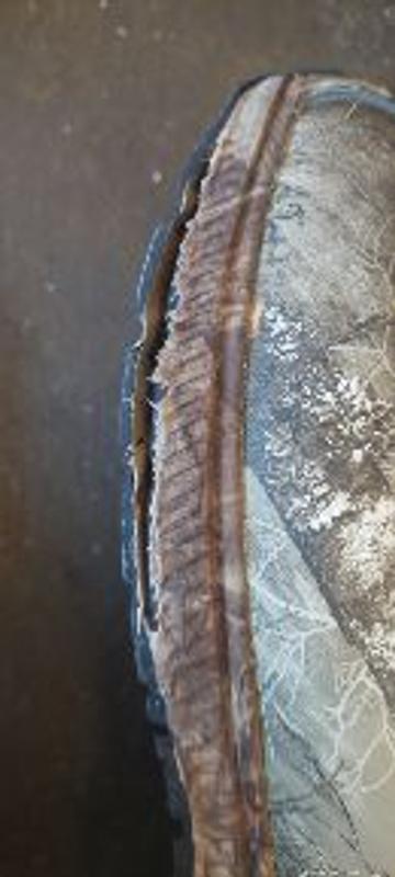 Photo - commentaire&nbsp;2.