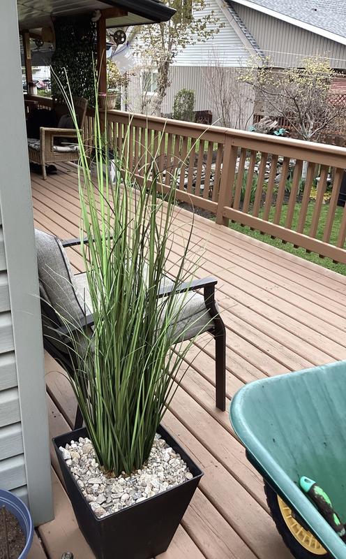 Photo - commentaire&nbsp;2.