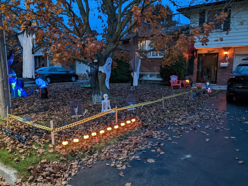 Photo - commentaire 1.