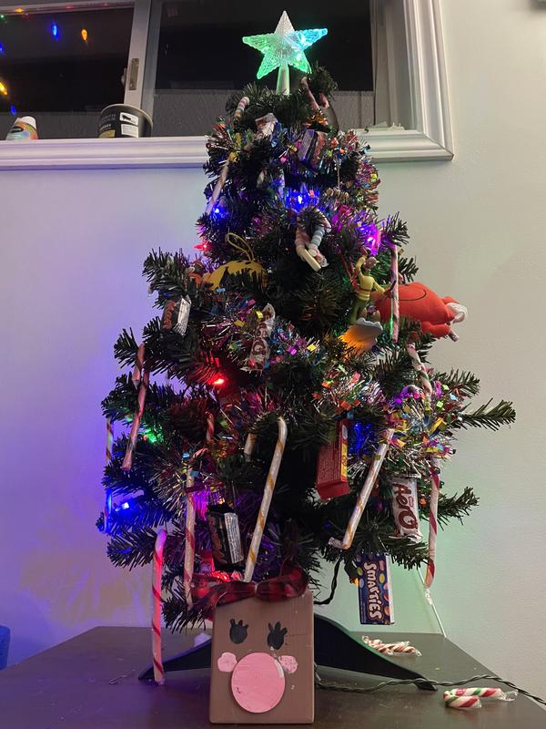 Photo - commentaire 8.