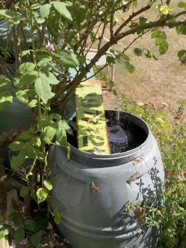 Photo - commentaire 1.