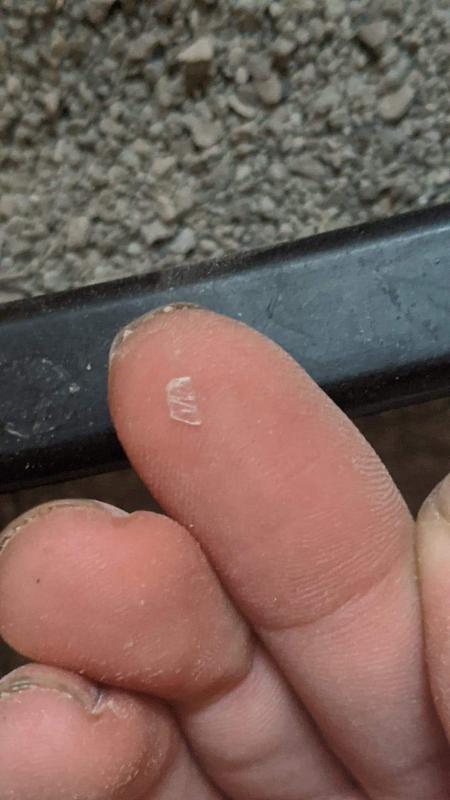 Photo - commentaire 2.