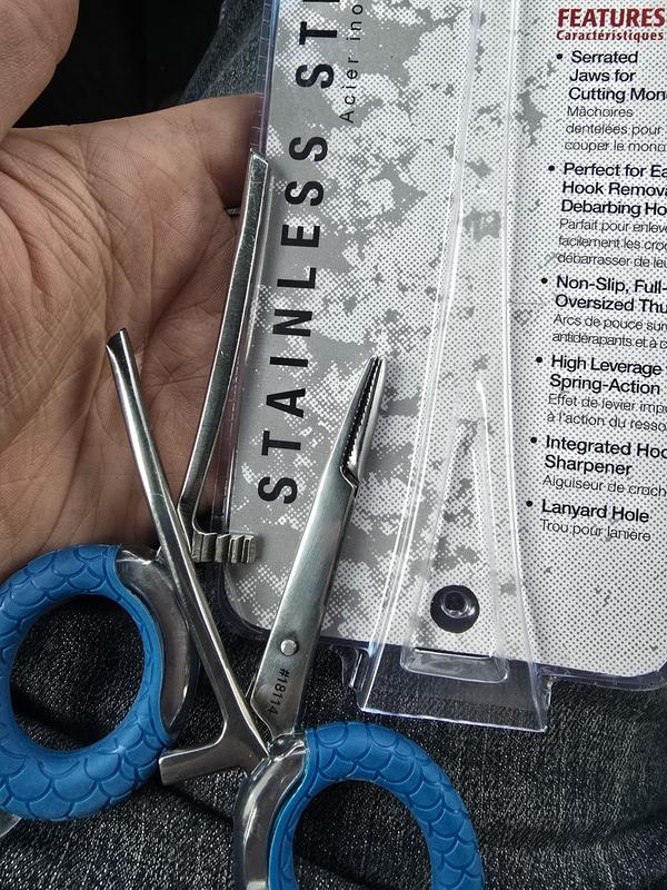 Photo - commentaire 1.