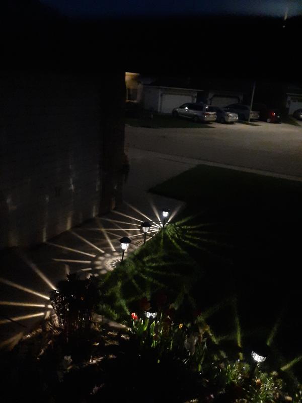 Photo - commentaire 8.