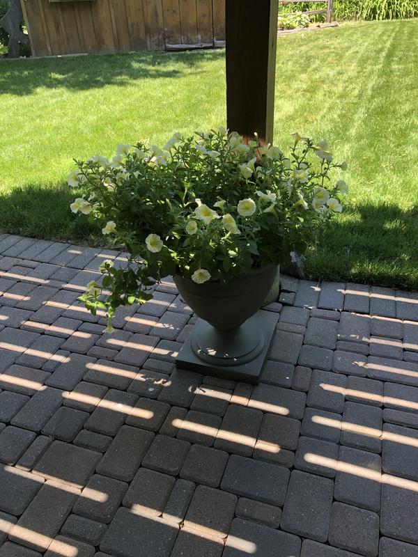 Photo - commentaire&nbsp;4.