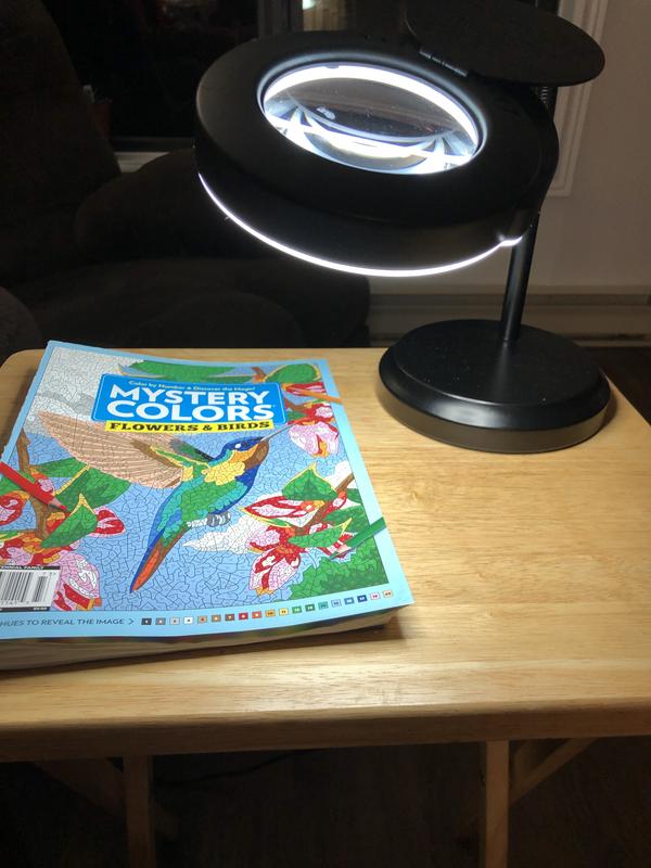 Photo - commentaire 5.