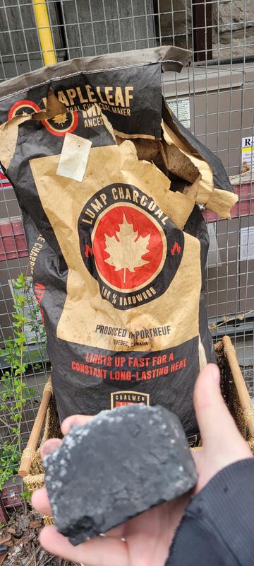 Looking for charcoal bricks...not actual masonry!