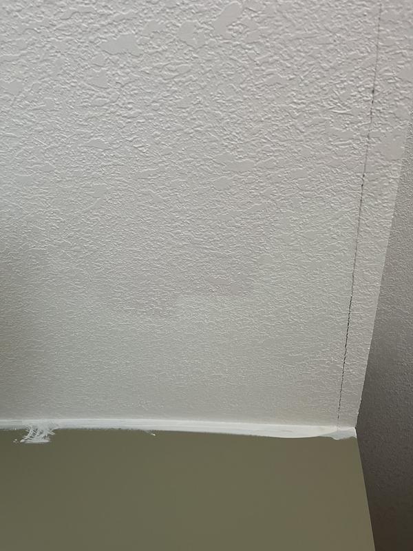 Painted ceiling cannot really see