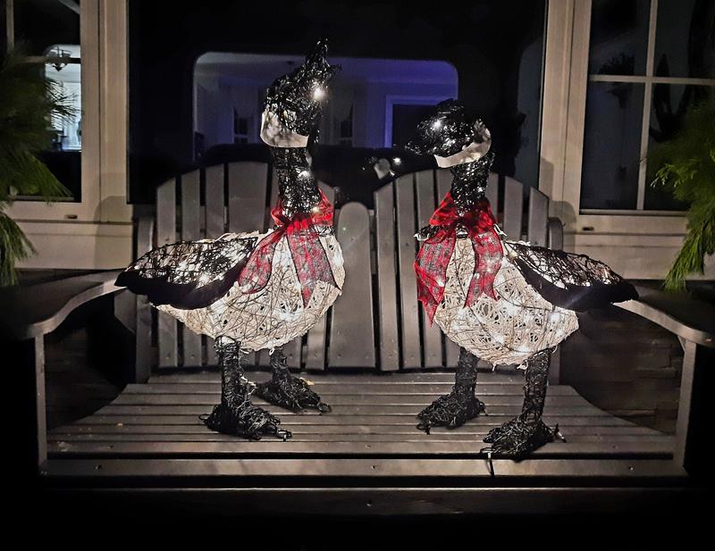 Photo - commentaire 3.