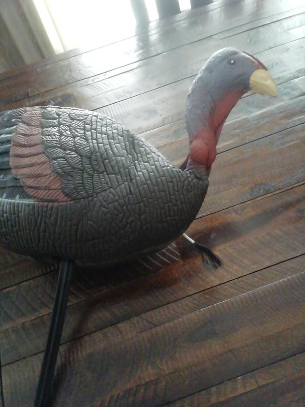 Photo - commentaire&nbsp;1.