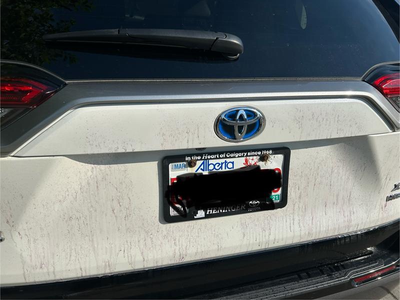 Remover working its magic (looked completely clean, before spraying)