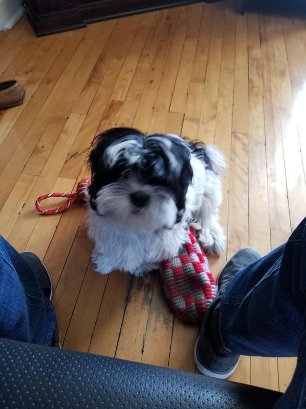 Photo - commentaire 2.