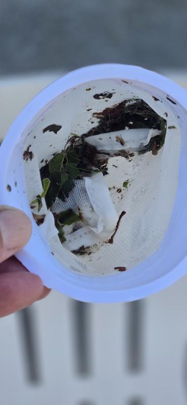 Photo - commentaire 8.