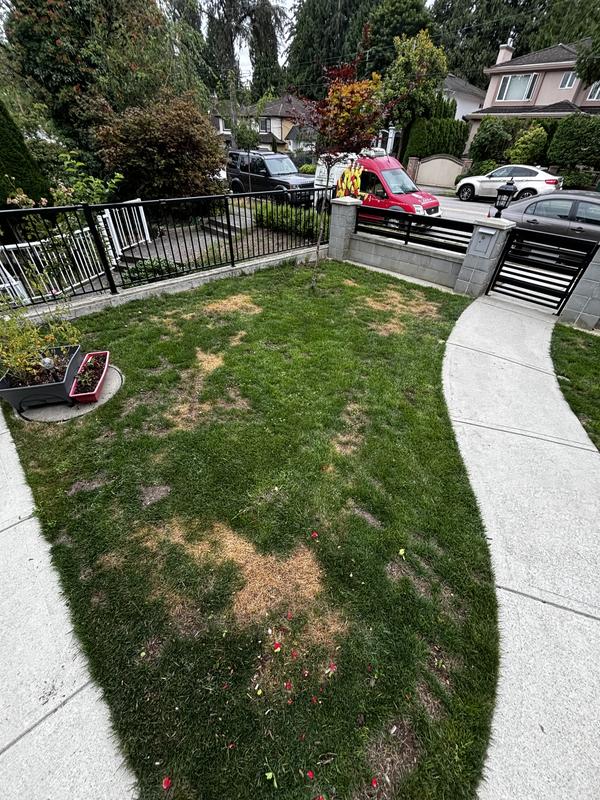 Photo - commentaire 3.