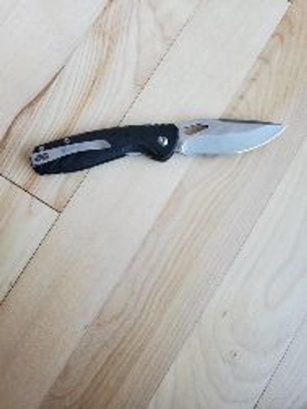 Photo - commentaire 5.