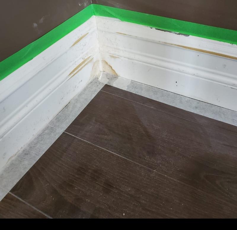 After First Coat didnot cover any stains