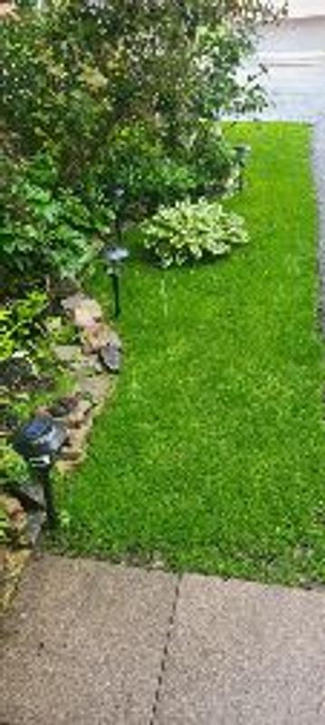 Photo - commentaire 2.