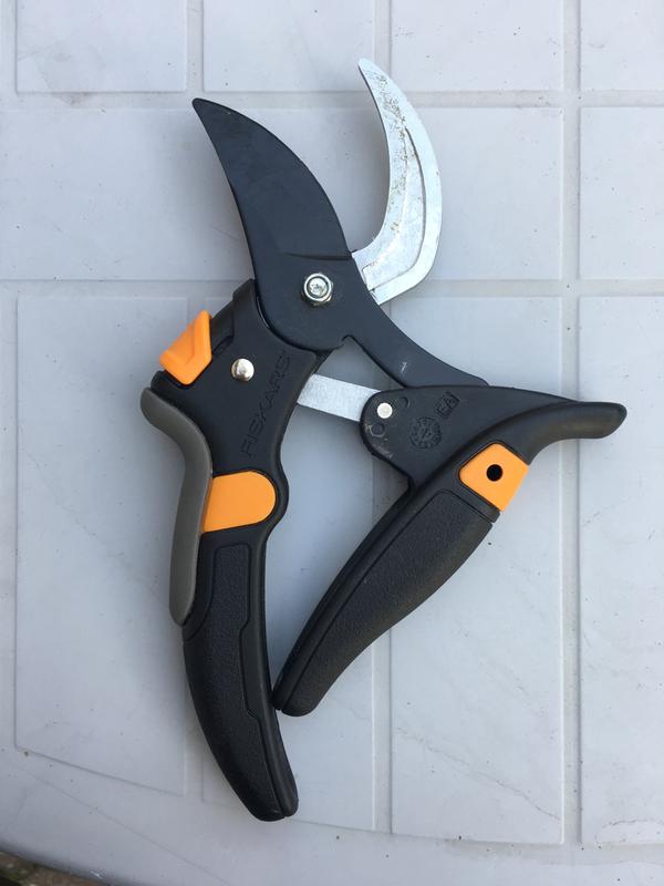 Not much used, the blades still look new