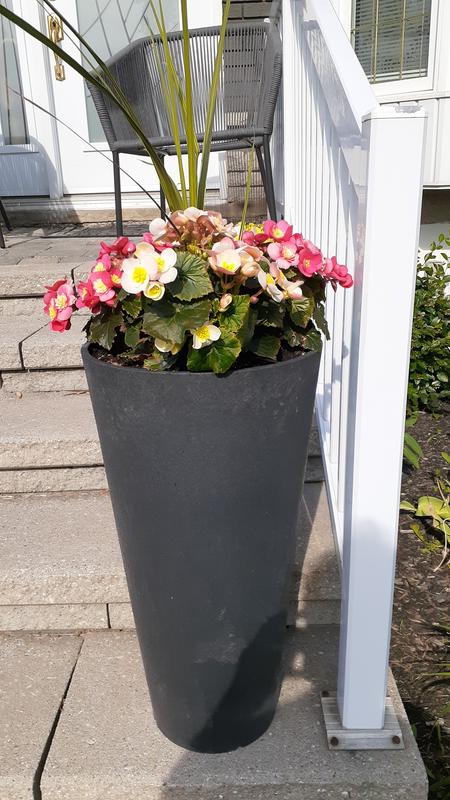 Photo - commentaire 1.