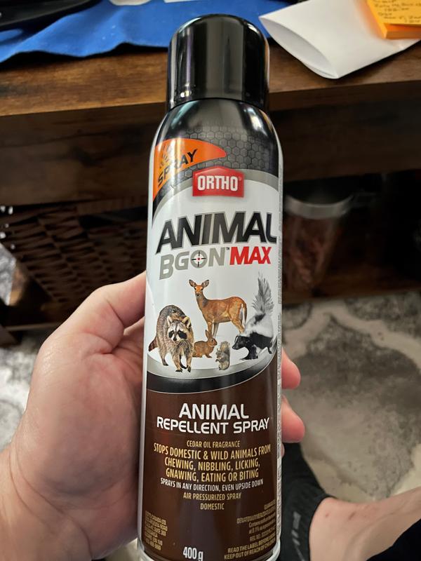 The useless spray that doesnt stop squirrels